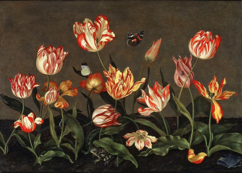 Hội chứng hoa tulip