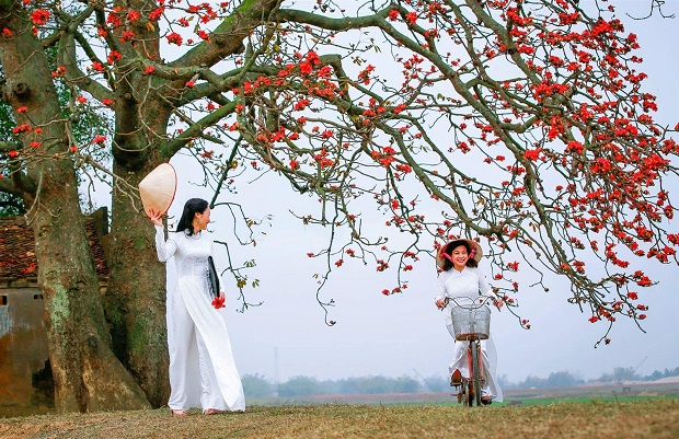 Địa điểm chụp ảnh hoa gạo đẹp nhất tại Hà Nội - Đê sông Hồng