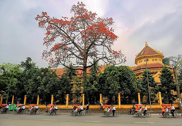 Địa điểm chụp ảnh hoa gạo đẹp nhất tại Hà Nội - Bảo tàng Lịch sử Việt Nam
