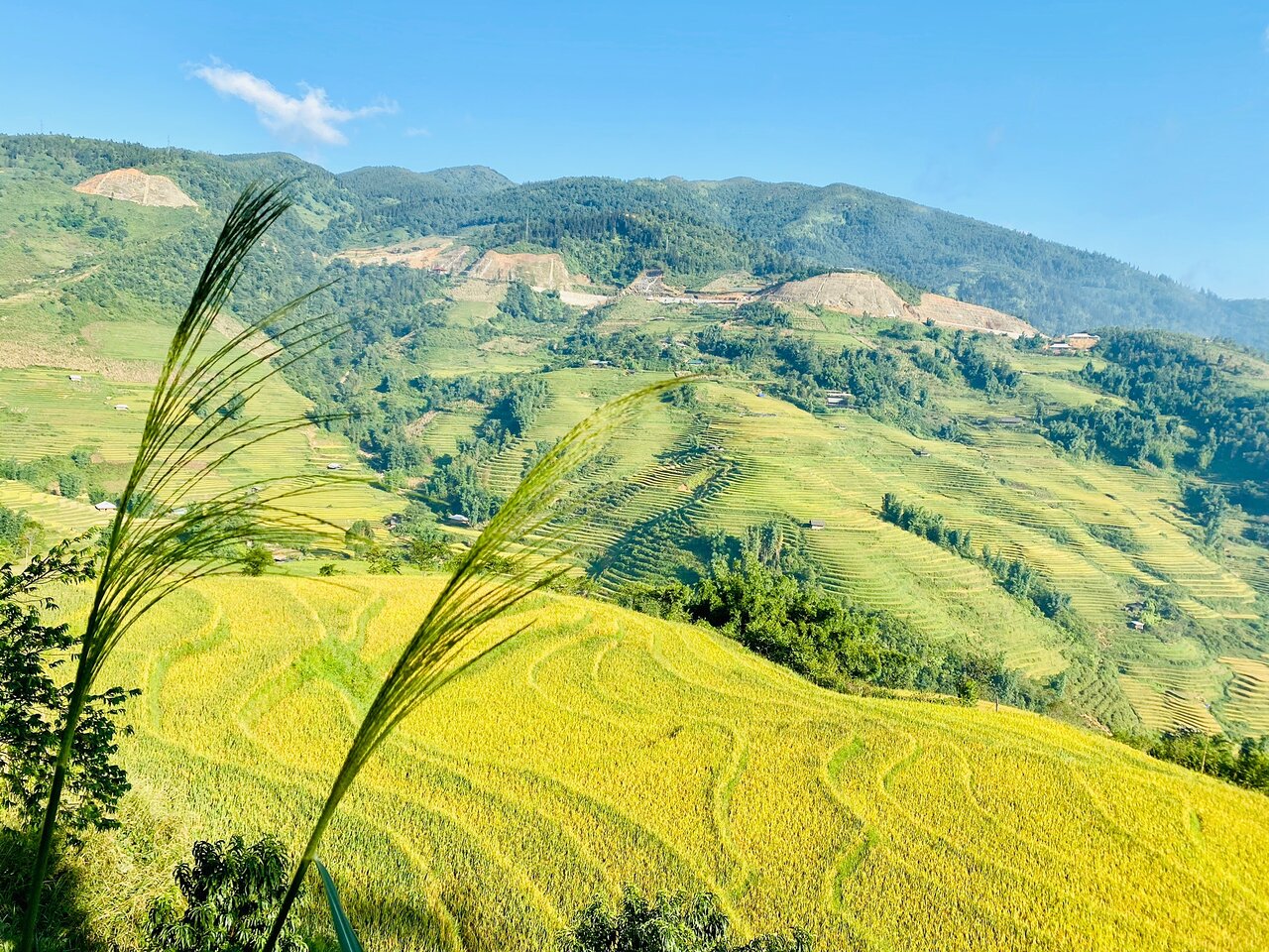 suoi-ho-village-sapa