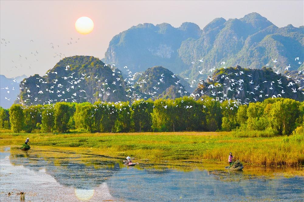 Vuon-chim-Thung-Nham-Ninh-Binh