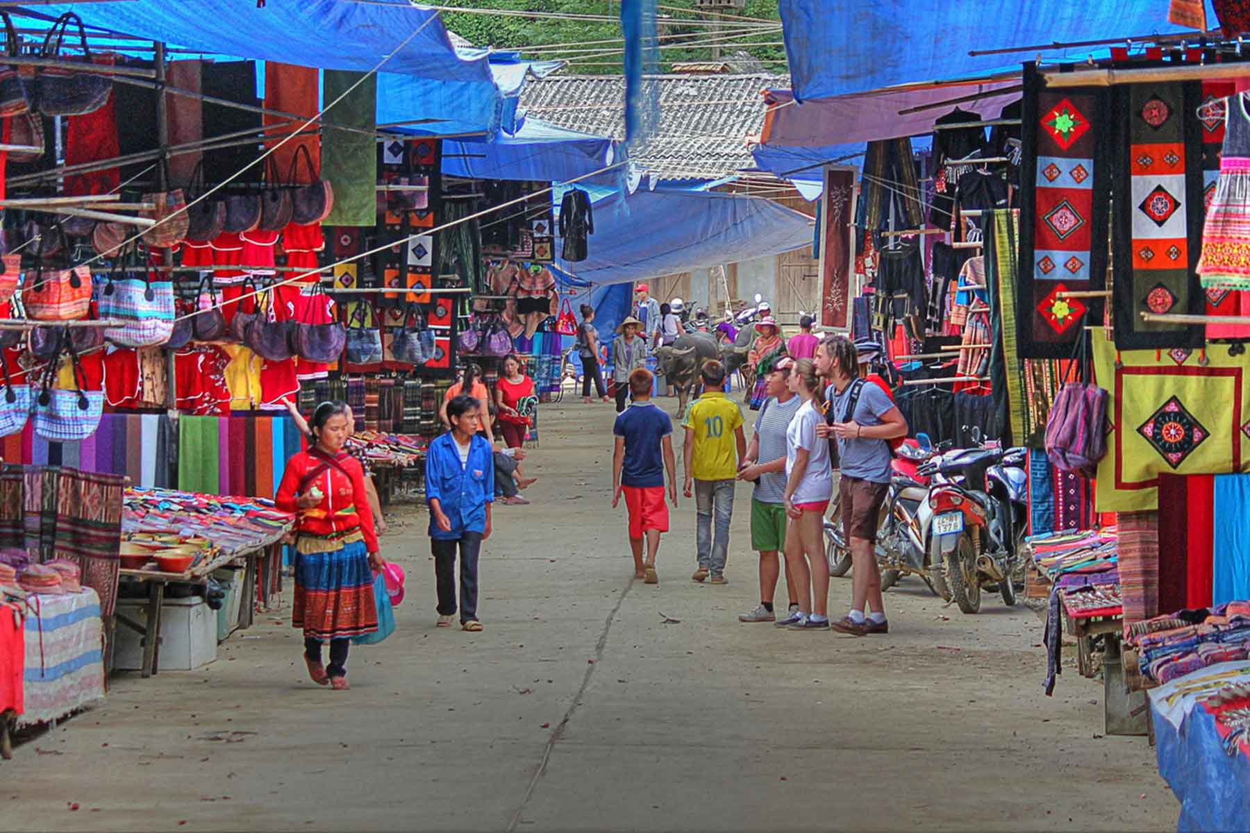 cho bac ha 1