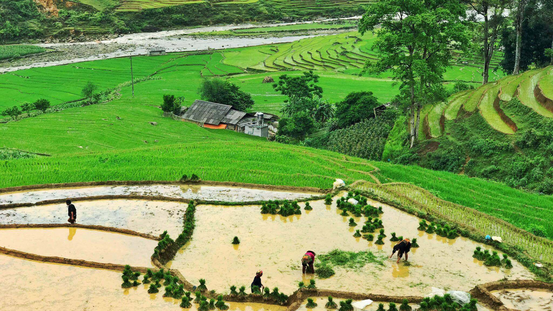 giang-ta-chai