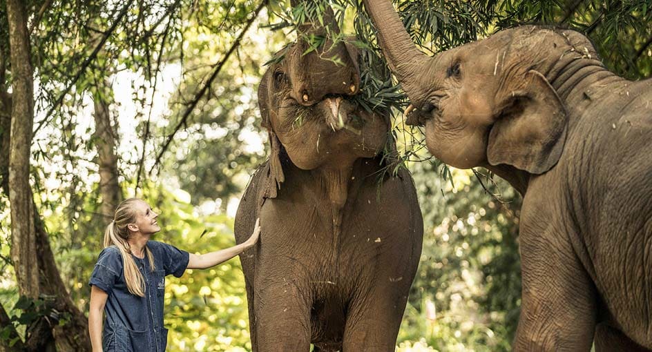 anantara_golden_triangle_elephant_camp_intro_944x510