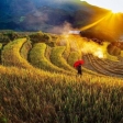 Book now Sapa trekking: Muong Hum Market and Sapa Tribal Villages Explore 4 days