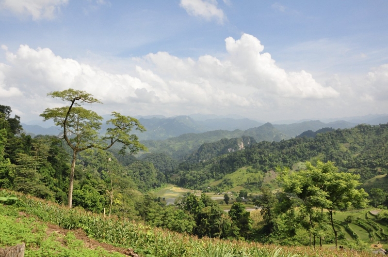 Bac Kan - Vietnam - picture 9