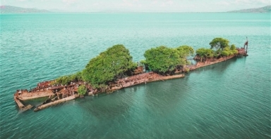 Xác tàu bỏ hoang bỗng trở thành một rừng nổi giữa biển