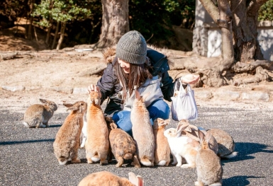 Một lần thử làm “con sen” ở đảo thỏ Okunoshima xinh đẹp của Nhật Bản