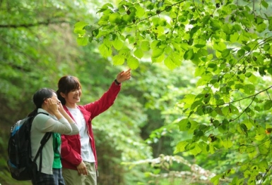 Khám phá Shiso - Điểm đến tuyệt vời cho những tâm hồn cần chữa lành