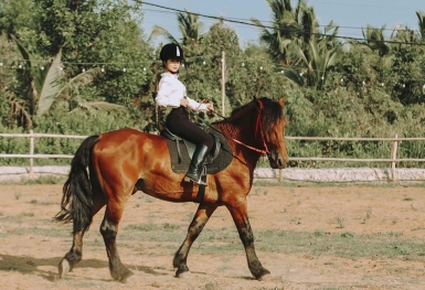 Thử sống 'cuộc sống quý tộc' tại các địa điểm cưỡi ngựa Sài Gòn