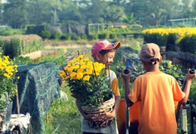 Ghé thăm những làng nghề truyền thống gần nội thành Hà Nội