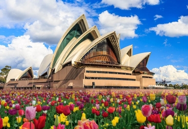 Những địa điểm ngắm xuân đẹp nhất Australia bạn đã biết?