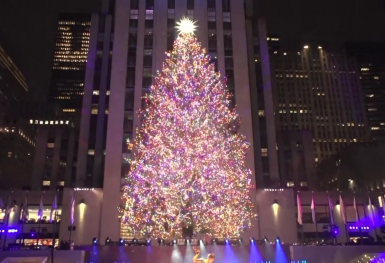 3 triệu ngôi sao pha lê sẽ thắp sáng cây thông Noel ở New York