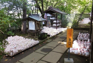 Thăm ngôi đền Gotokuji có hàng nghìn tượng mèo vẫy tay ở Nhật Bản
