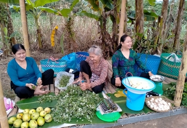Tour du lịch chợ quê cồn Tân Thuận Đông, Đồng Tháp sắp ra mắt