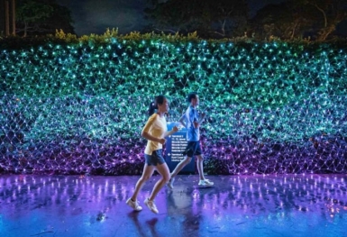 Lễ hội ánh sáng diễn ra tại sân bay Changi, Singapore