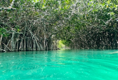 Lý do bạn nên đi du lịch đến Tulum, Mexico