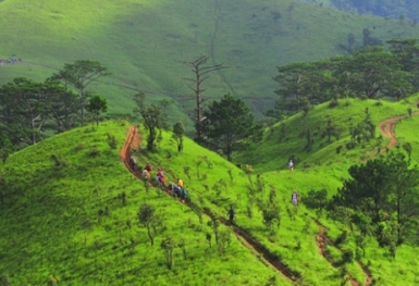 Cung đường trekking đẹp nhất Việt Nam: Tà Năng - Phan Dũng