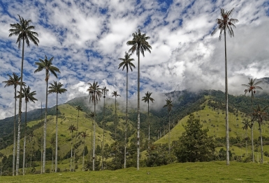 Du lịch Colombia: Những điểm đến hấp dẫn hàng đầu