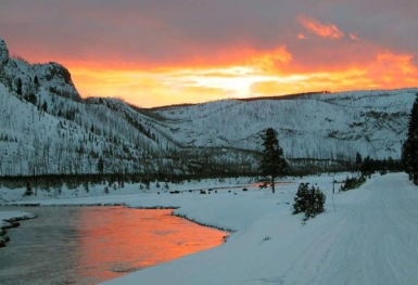 Những lý do bạn nên đến Vườn quốc gia Yellowstone