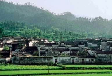 Ngôi làng kì lạ tại Trung Quốc không có muỗi suốt hàng trăm năm