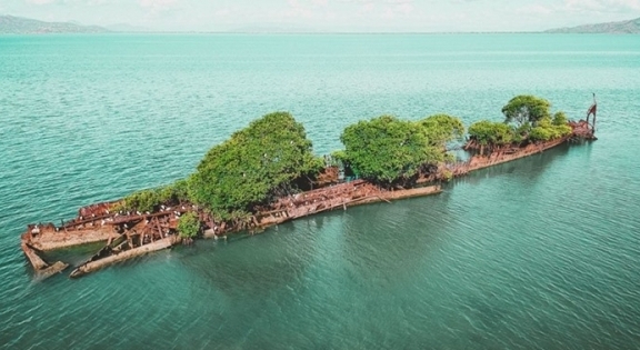 Xác tàu bỏ hoang bỗng trở thành một rừng nổi giữa biển