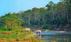 Những điều nên làm ở vườn quốc gia Chitwan, Nepal