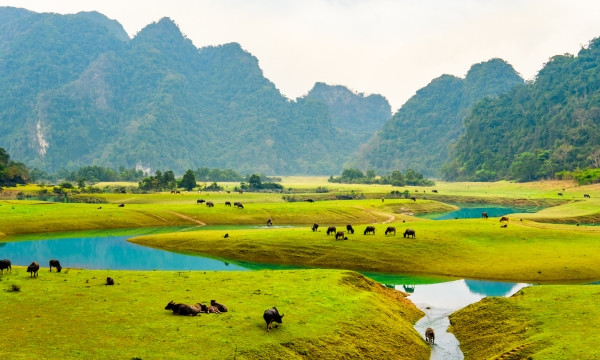 Thảo nguyên Đồng Lâm - “Mông cổ thu nhỏ” giữa lòng xứ Lạng