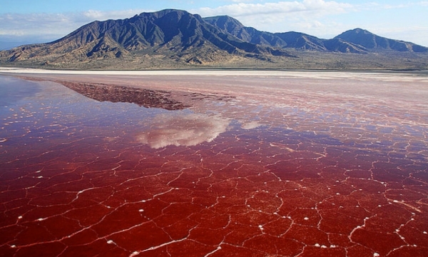 Bí ẩn hồ Natron ở Tanzania: Nơi sảy chân ngã xuống sẽ bị hóa đá