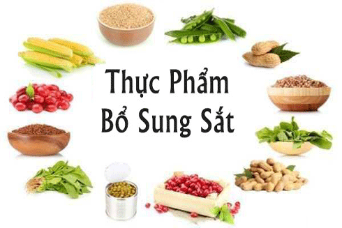 Những thực phẩm tự nhiên bổ sung máu rất tốt cho cơ thể cần phải biết