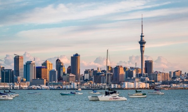 Trải nghiệm ngắm cảnh ở Auckland bằng phà