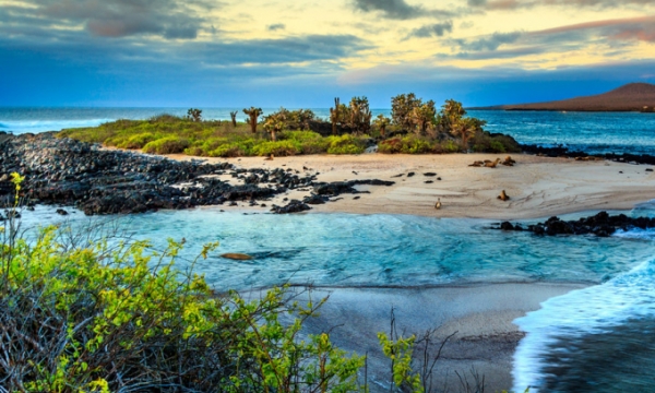 Quần đảo Galapagos - Nơi tách biệt với những sinh vật kỳ lạ