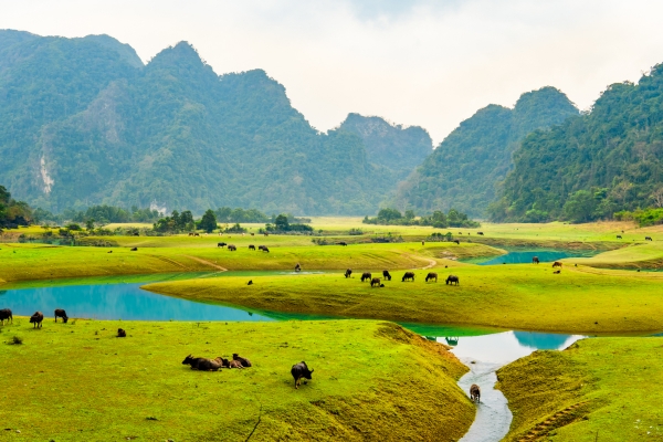 Thảo nguyên Đồng Lâm - “Mông cổ thu nhỏ” giữa lòng xứ Lạng