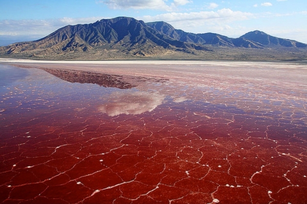 Bí ẩn hồ Natron ở Tanzania: Nơi sảy chân ngã xuống sẽ bị hóa đá