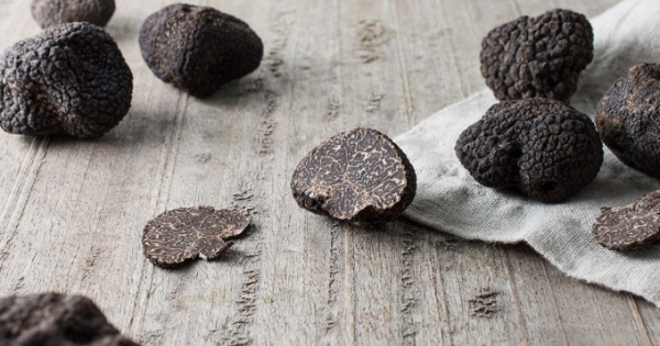 Bạn có biết: Vì sao nấm truffle siêu đắt đỏ, chỉ dành cho giới thượng lưu?