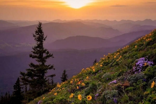 Kinh nghiệm tham quan Công viên Quốc gia Olympic, Washington