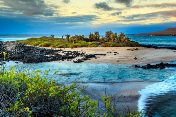 Quần đảo Galapagos - Nơi tách biệt với những sinh vật kỳ lạ