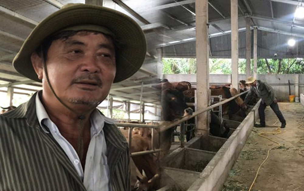 Lạ kì trang trại nuôi 400 con bò ở Đồng Nai dù chưa bán con nào vẫn thu lời tiền tỷ mỗi năm
