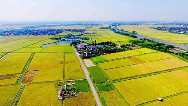 Người dân sẽ không được xây nhà ở trên đất nông nghiệp, vì như vậy sẽ là sử dụng đất trái mục đích lam-sao-de-nguoi-dan-duoc-xay-nha-tren-dat-nong-nghiep