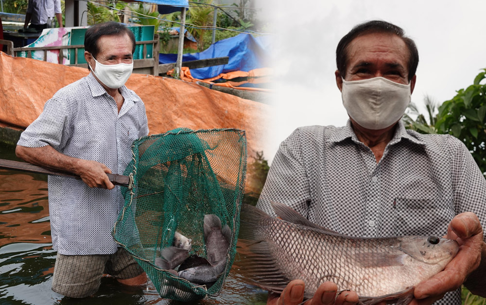 Đổi mới nuôi cá tai tượng trong bể bạt, nông dân Cần Thơ trúng mánh lớn thu lãi trăm triệu