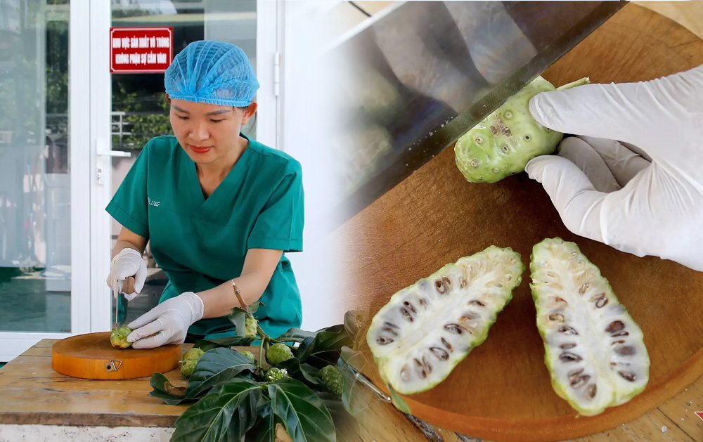 8x Quảng Nam Nguyễn Thị Dung quyết tâm đổi đời: Xưa làm giúp việc, nay khởi nghiệp thu tiền tỷ