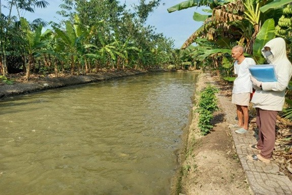 Ông Đẳng bên mô hình ao nuôi cá tra thu lời lớn. Ảnh: Dân Việt lao-nong-hau-giang-vua-trong-vuon-vua-nuoi-ca-thu-loi-tram-trieu