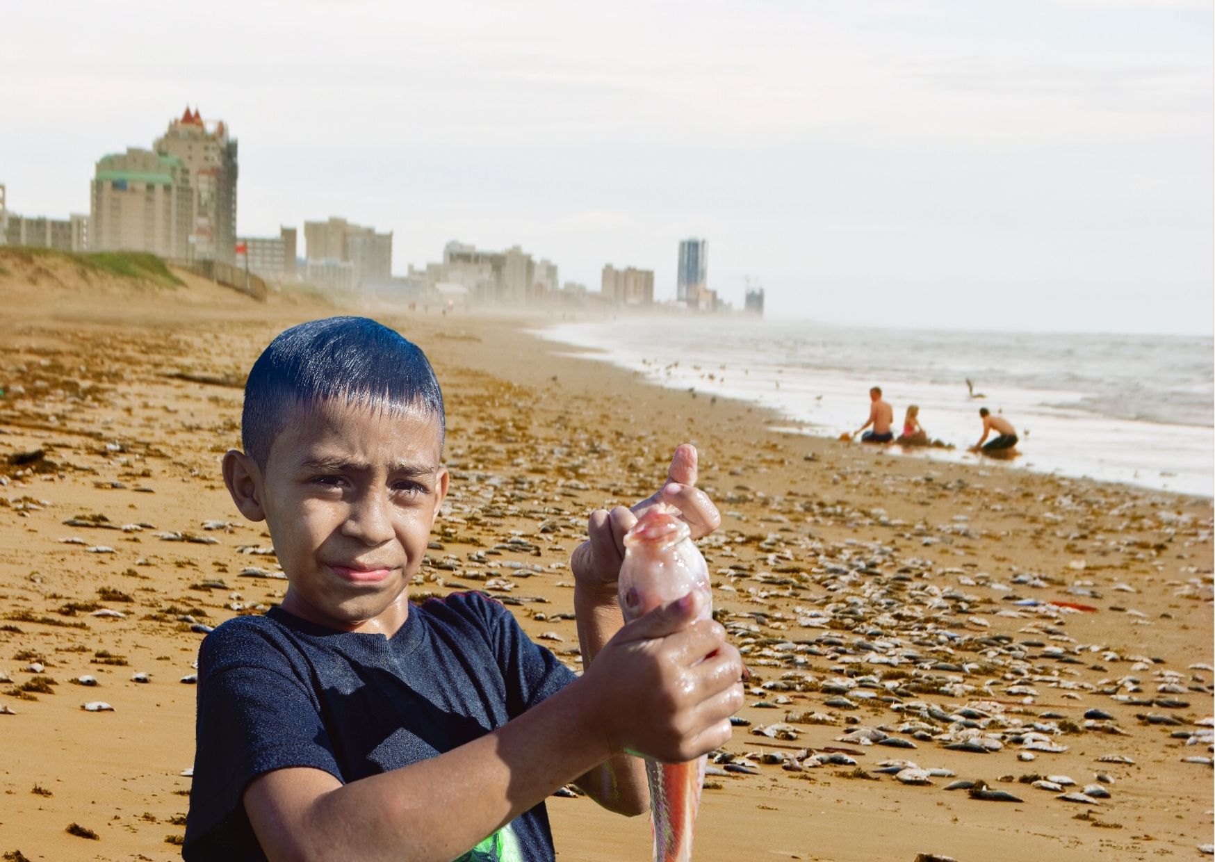 Cậu bé cứu cá – Câu chuyện dạy trẻ nhưng thức tỉnh cả người lớn