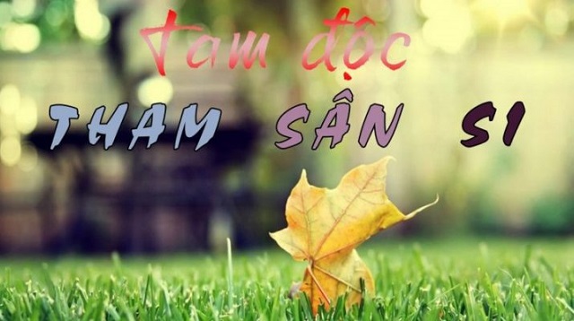Muốn có cuộc sống an lạc phải diệt trừ tam độc: tham, sân và si duc-phat-day-muon-giai-thoat-phai-loai-tru-duoc-tam-doc-2