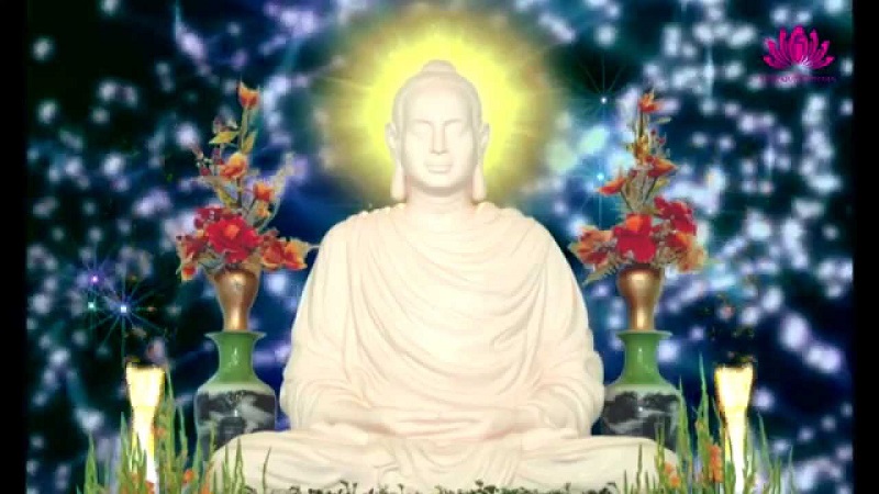 Tôn kính Phật là sức mạnh ban đầu của mọi sự tu tập