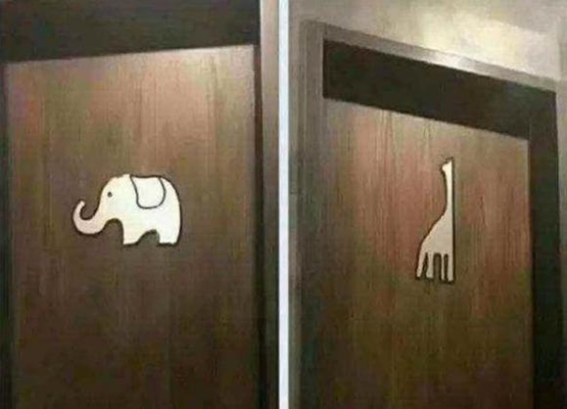 Đi vệ sinh nơi công cộng mà chỉ nhìn thấy kí hiệu voi và hươu cao cổ trên cửa, làm sao để biết đâu là WC nam, đâu là WC nữ?