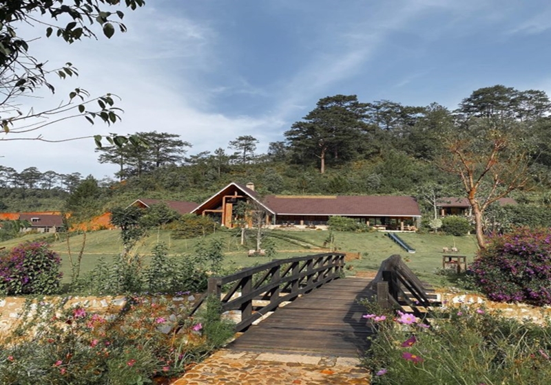 Giải mã sức hút của Lat Valley - resort 'ẩn mình' giữa rừng thông khiến vợ chồng Hà Tăng mỗi năm ghé vài lần