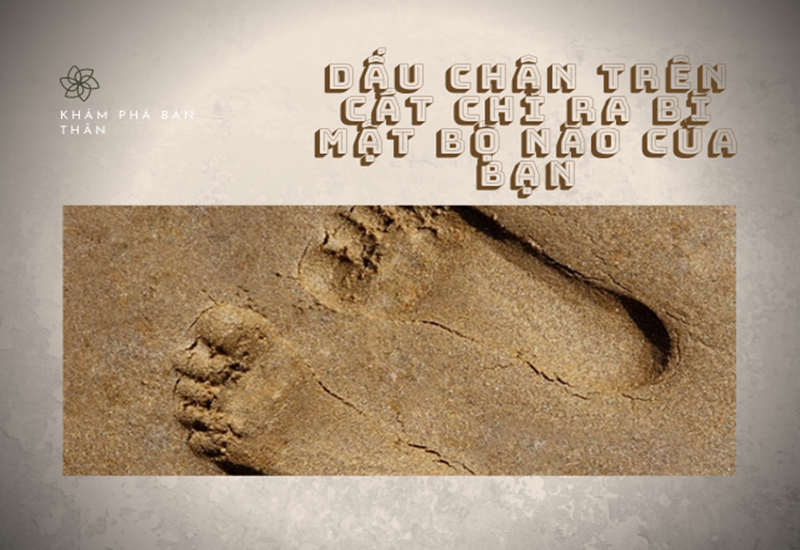 Trắc nghiệm: Dấu chân trên cát chỉ ra bí mật bộ não của bạn