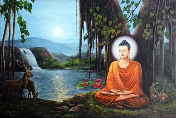 28 ân đức và lợi ích của thiền theo lời Phật