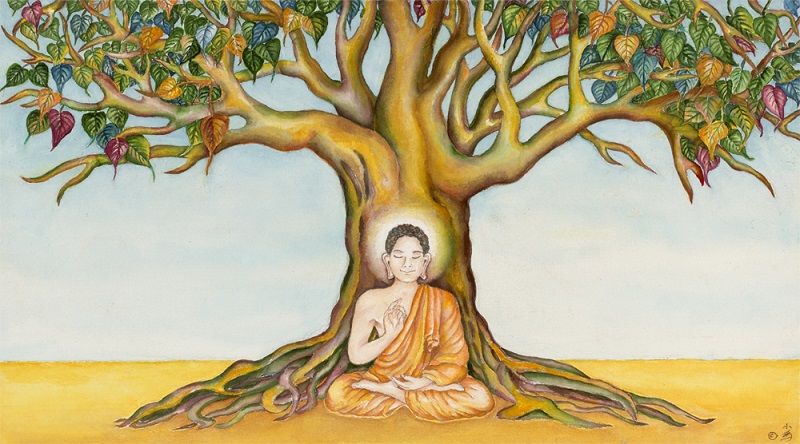 Tìm hiểu về khái niệm Bồ Đề trong Đạo Phật